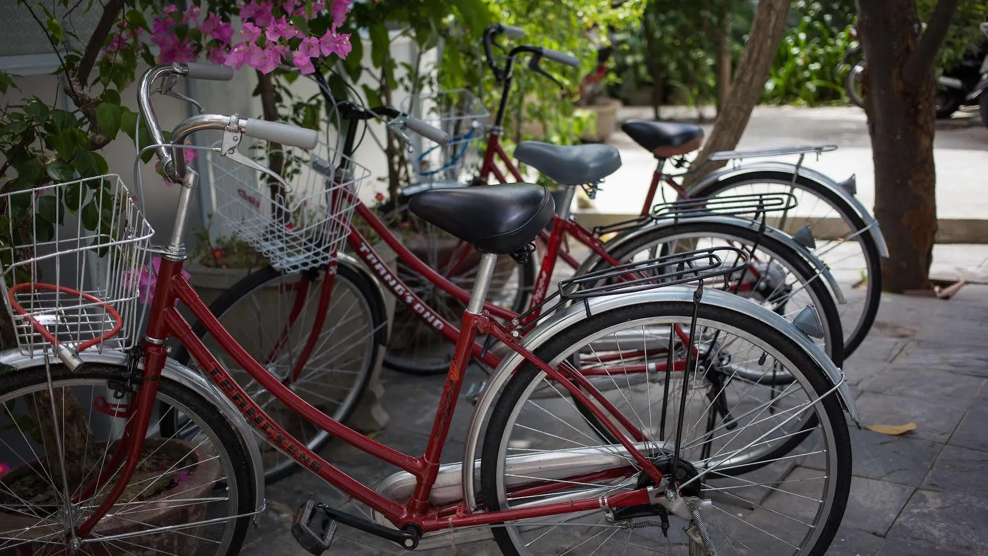 Quynh Long Villa Hoi An Vietnam